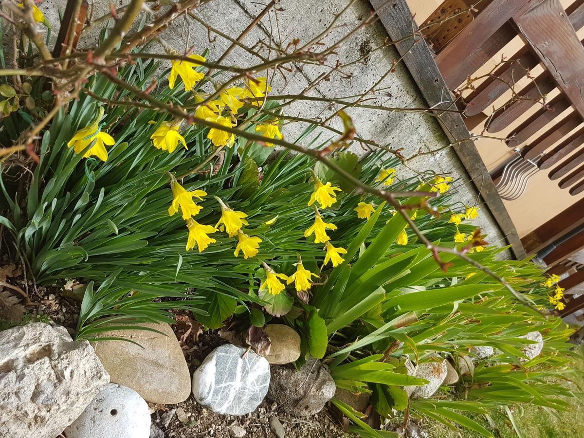 روتوندا Le Chalet Del Pollino المظهر الخارجي الصورة