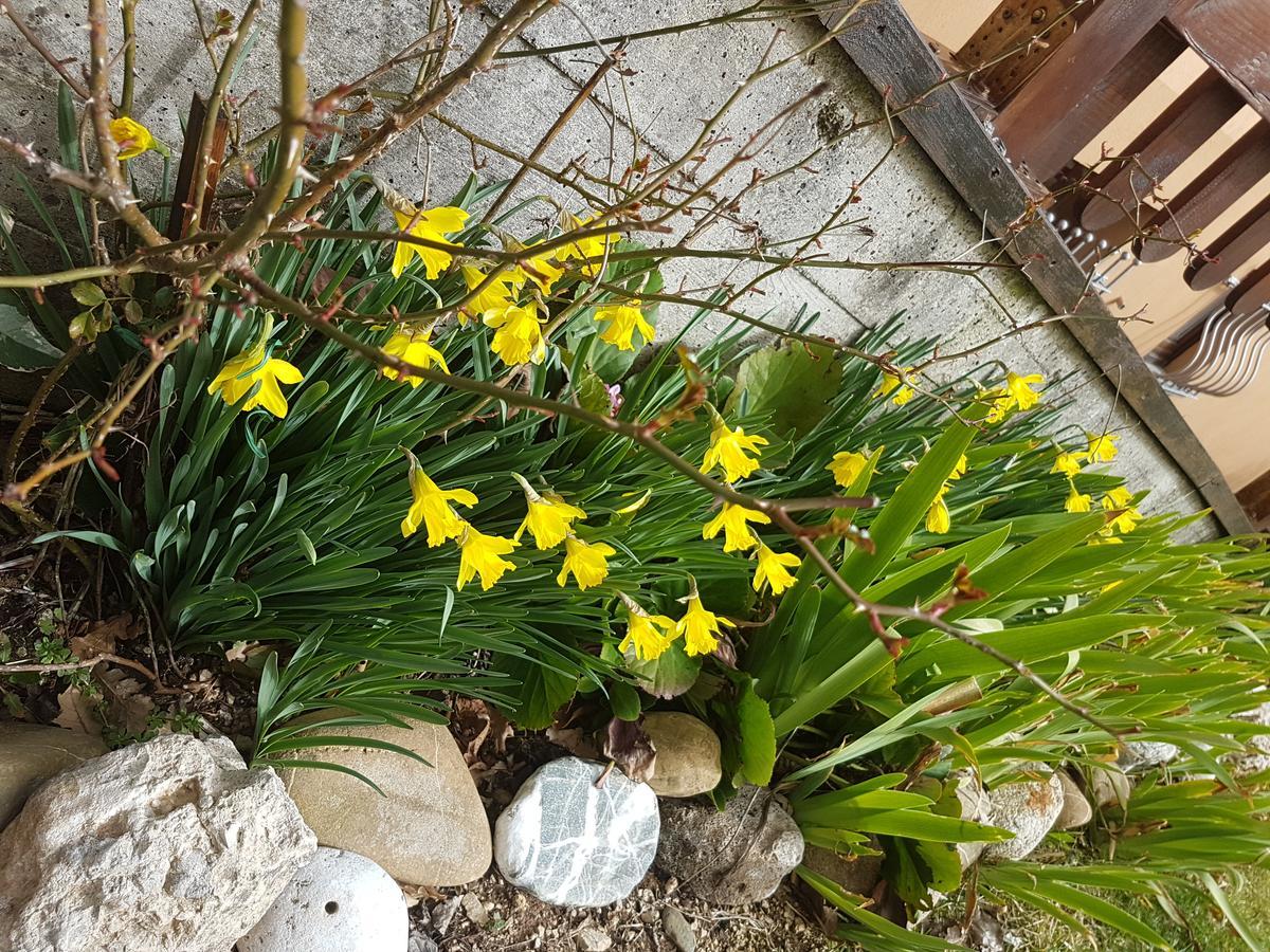 روتوندا Le Chalet Del Pollino المظهر الخارجي الصورة